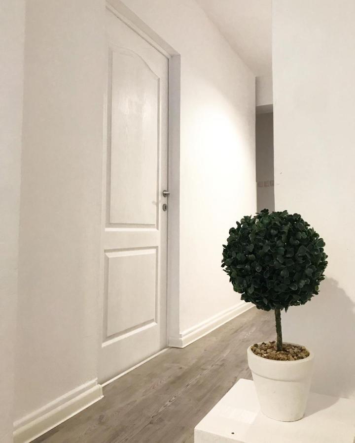 Ultracentral Apt With City Center View - Smart Tv - Ac 蒂米什瓦拉 外观 照片